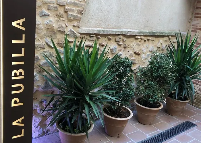 Ca La Pubilla Casa de Campo El Masroig